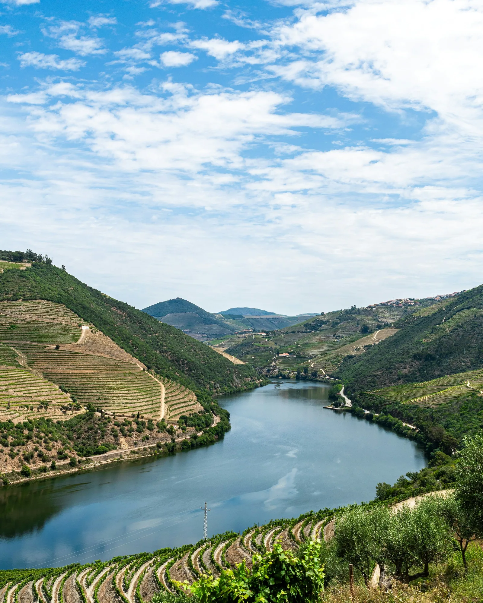 O rio Douro a serpentear entre vinhas em socalcos